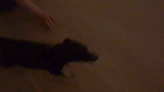 Музыкальный джем в Сочи! смотреть онлайн