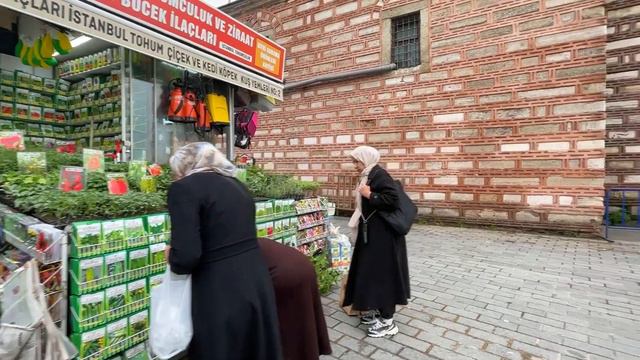 Стамбул: на площади перед Новой мечетью. Часть 3 смотреть онлайн