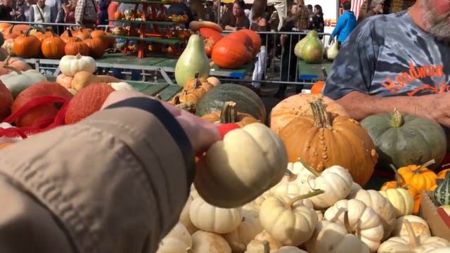 Pumpkin Festival