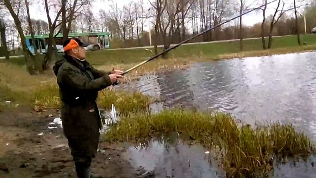 Белый Амур на Жодинском водохранилище смотреть онлайн