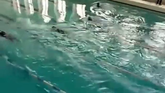 Соревнования спасателей в Кронштадте | ВОСВОД | С-Пб смотреть онлайн