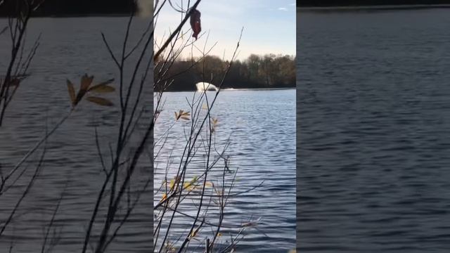 Лето или Зима? #гидроцикл #квадроцикл #лето #зима #природа #хобби #спорт #отдых