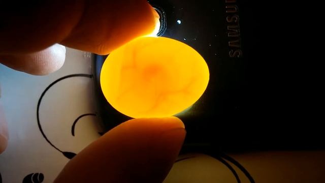 Яйцо кореллы с разодышем. смотреть онлайн