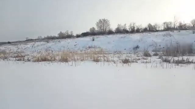 Щука на кружки смотреть онлайн