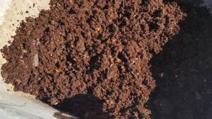 Высаживаю петунию серии Тайдал на ПМЖ в кашпо 20,27,45 литров/Грунт для тайдалов.