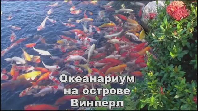 Винпер 7 смотреть онлайн