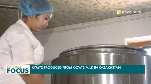 В Казахстане из коровьего молока производят кумыс смотреть онлайн