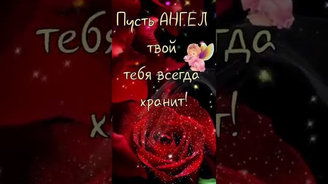 САМЫЕ НУЖНЫЕ СЛОВА /ПОЗДРАВЛЕНИЕ С ДНЕМ РОЖДЕНИЯ #shorts #видеооткрытка #сднемрождения смотреть онлайн