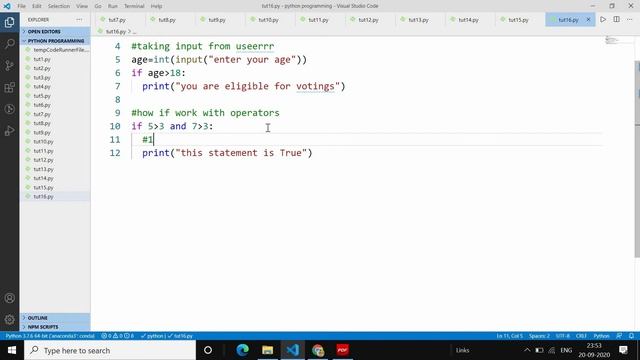 Python | Lecture 16 - If And Nested смотреть онлайн