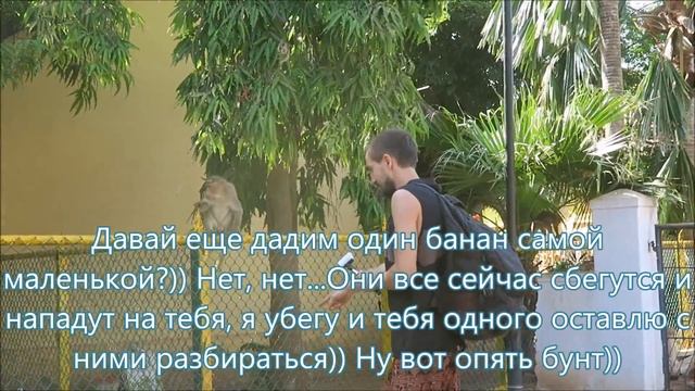 Индия Блог 212. Когда лучше ехать на водопады Джог Фолс в Индии. Кормим с рук местных обезьян смотреть онлайн