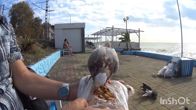 Лазаревское/БАРАБУЛЯ/шторм продолжается/пляж Дельфин/14.10.21 смотреть онлайн