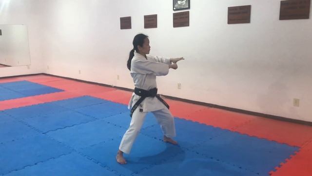 Tekki Shodan - Full Tutorial - Kata Karate Shotokan смотреть онлайн