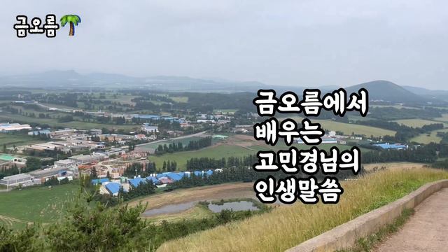 #3제주도브이로그🍊/감성 브이로그 인척 했으나 실패...MBTI ENFP VS ESTP 우정여행/금오름,미영이네,협재해변,우진해장국,제주맛집,서귀포맛집,제주오름 смотреть онлайн