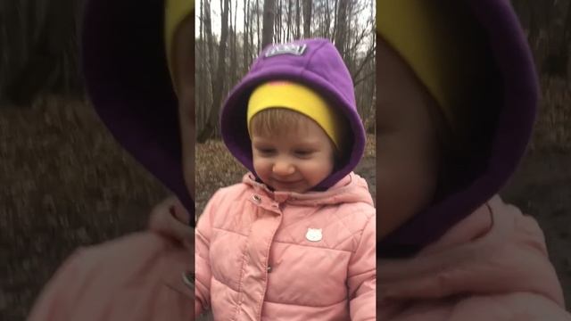 Беговые упражнения в лесу у озера. Лучший в мире спортсмен. Уникум спортивного мира! смотреть онлайн