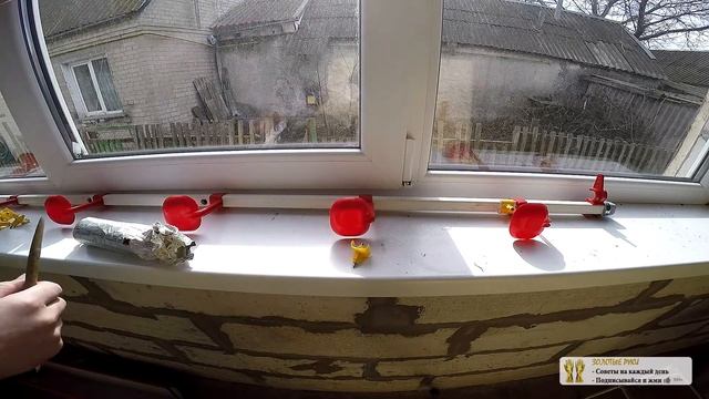 Сборка Ниппельные поилки для кур своими руками Ниппельные поилки для перепелов - ZOLOTYERUKI смотреть онлайн