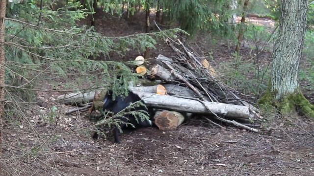 лре ЭКСА-ЗАНОЗА 2678/13 -Зеленков =88 1ст. MVI 3885 смотреть онлайн