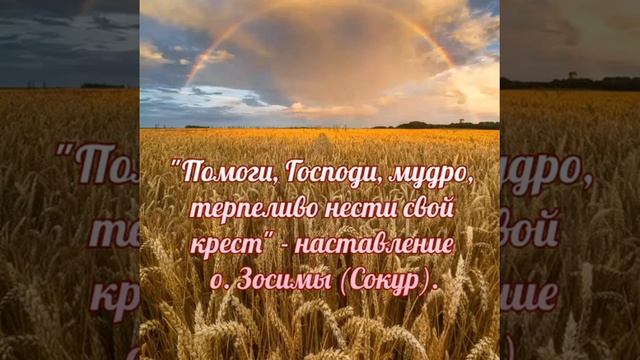 "Помоги, Господи, мудро, терпеливо нести свой крест" - наставление о. Зосимы (Сокур). смотреть онлайн