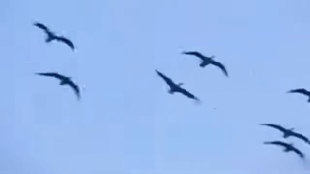 А я хочу, что б я и ты, вот так любили бы друг друга... смотреть онлайн