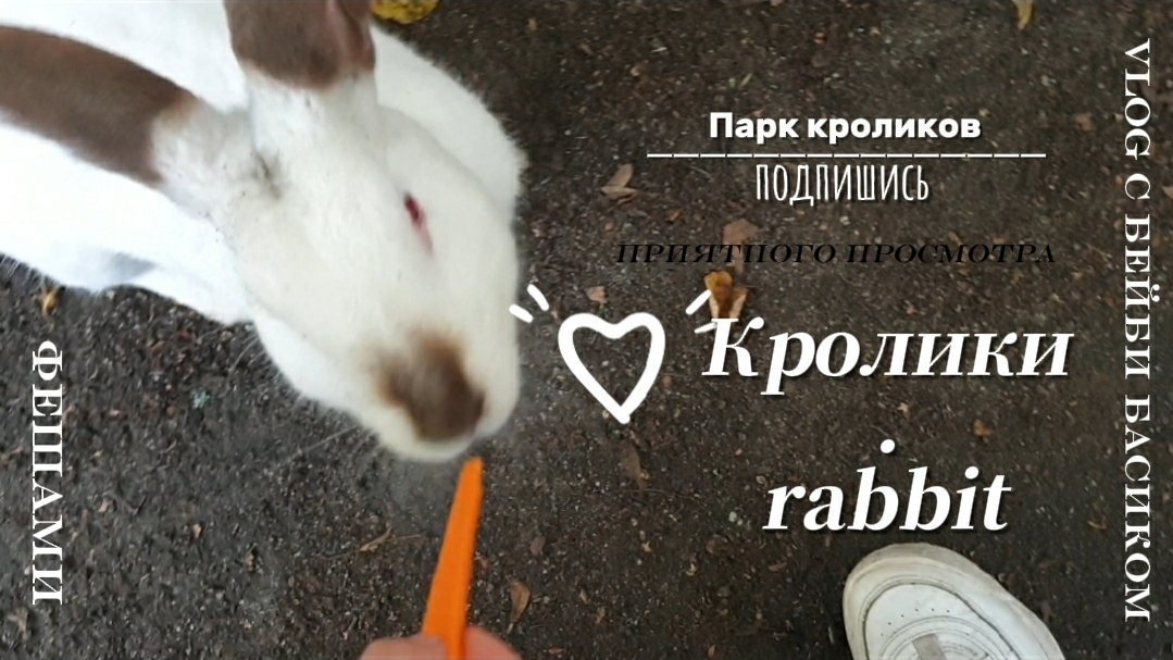 Мы с Федей пошли в парк кроликов.