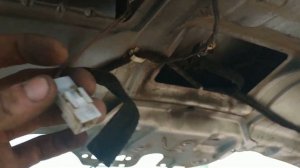 Ремонт подсветки номера Сценик 2 / Scenic 2