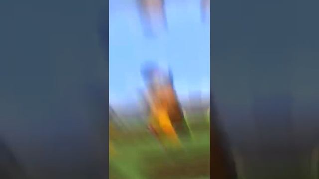 пьяный мужичок идёт по хоть и ищет сыном А сына нету фоне в квартире сын гуляет с девочками смотреть онлайн