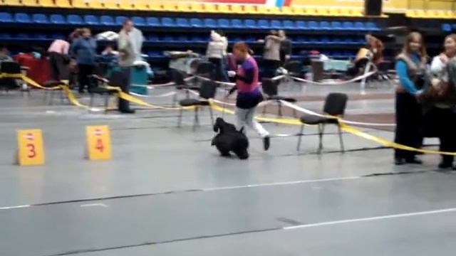 28 11 2010 Н ТАГИЛ БОТНИНА ГУДВИН смотреть онлайн