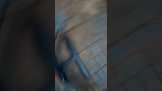 Тренажёр Сведение разведение ног смотреть онлайн