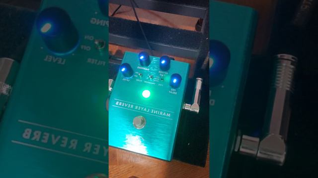 Fender Marine Layer Reverb Riffs Reviews! смотреть онлайн