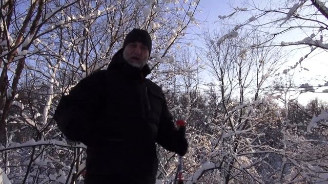 Палка-монопод Splav Mountain Photo Alu ТЕСТ (трекинговые палки Сплав) смотреть онлайн