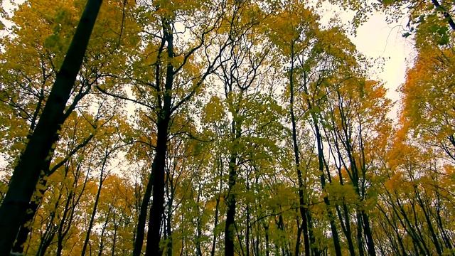 Осенние краски смотреть онлайн