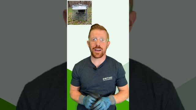 How to Trap and Control Pack Rats Using Using a Live Trap! Owyhee Environmental's Best Practices смотреть онлайн