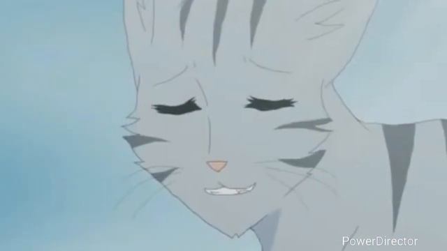 Коты Воители Крутобок и Серебрянка смотреть онлайн