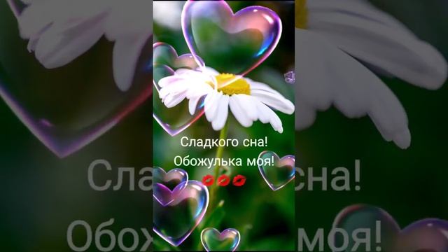 Спокойной ночи ? ♥️? смотреть онлайн