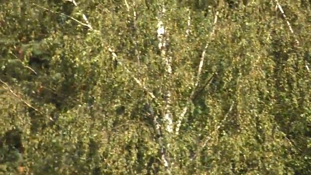 Samsung WB150F video tests - Notepad.lv.MP4 смотреть онлайн