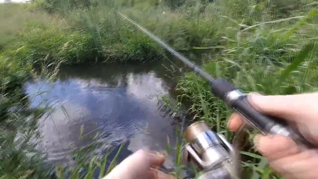 Рыбалка на микро речке смотреть онлайн