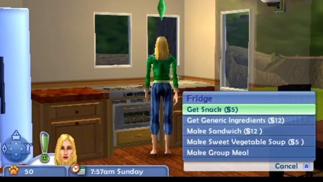 Ppsspp0.9.5 the sims 2 pets on android смотреть онлайн