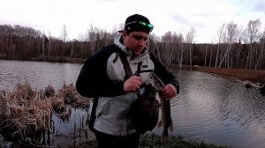 Жор щуки после нереста. Щука на воблеры весной.