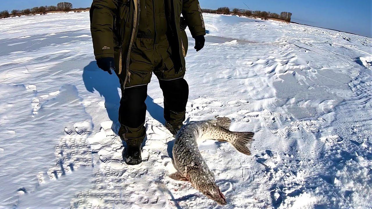РЫБЫ НЕТ, ОДНИ ЩУКИ! Зимняя рыбалка. смотреть онлайн