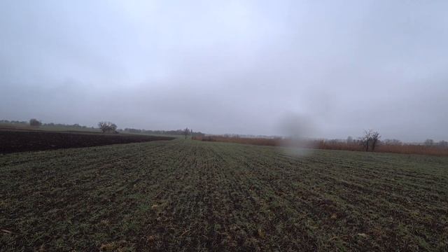 ОХОТА НА ЗАЙЦА РУСАКА: НАТКНУЛИСЬ НА СТАИ УТОК У ВОДОЕМА РАСКРЫВАЕМ СЕКРЕТЫ И ТОНКОСТИ ПОИСКА ЗАЙЦА смотреть онлайн