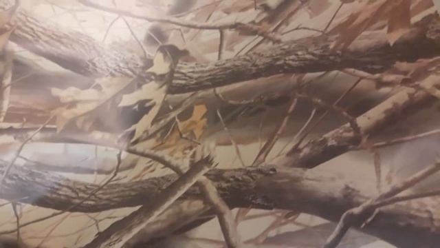 Лодочная ткань ПВХ камуфляжная. "Осенний лес" (Forest, листья и ветки) смотреть онлайн