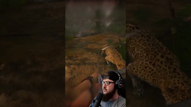 🐱 SPAWN KILLED BY A KITTY #gaming #greenhell смотреть онлайн