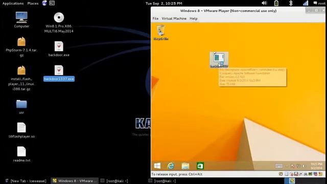 Kali Linux Exploiting Windows 8 смотреть онлайн
