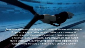 Подводная охота. Проверка техники работы ластами