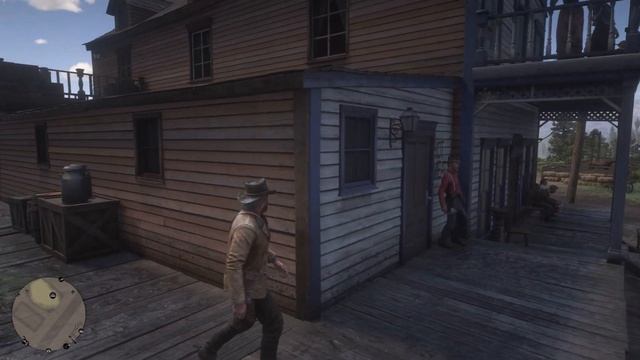 Red Dead Redemption 2 - PS5 HDR 4K Gameplay 2160P (RDR2 PS5) Pt.2