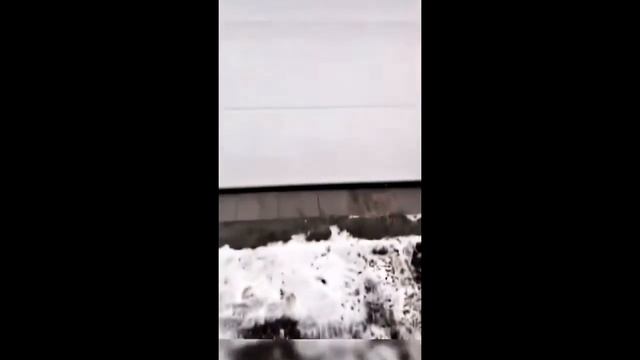 В погоне за ролсом Дубровский Синдикат , кто же победил ??? Миша или Ваня ??