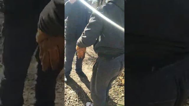 Кто кого поборит тот того по порит смотреть онлайн