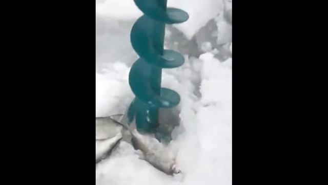 Приколы на рыбалке!!! или Придурки на рыболке!!! смотреть онлайн