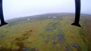 Квадрокоптер для охоты