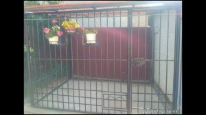Вольер для собаки своими руками