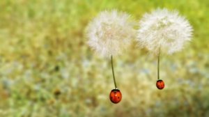 Жизнь насекомых фильм #8